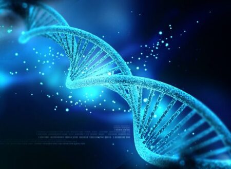 Mitochondrial DNA mutations associated with heart disease risk: Research