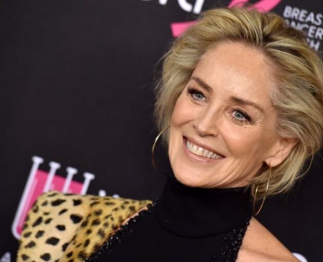 Sharon Stone Net Worth 2022,